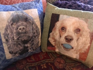 The cross-stitched pillows I made.